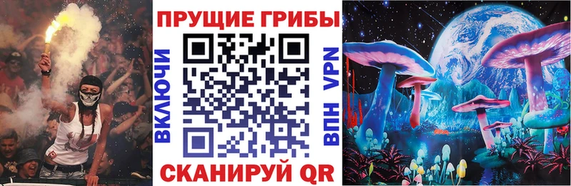 Псилоцибиновые грибы мицелий  Обь 